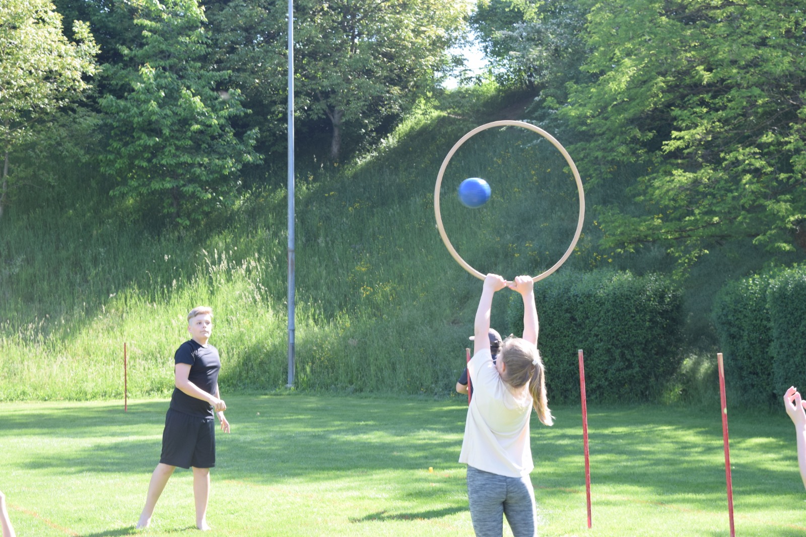 Bild (63)